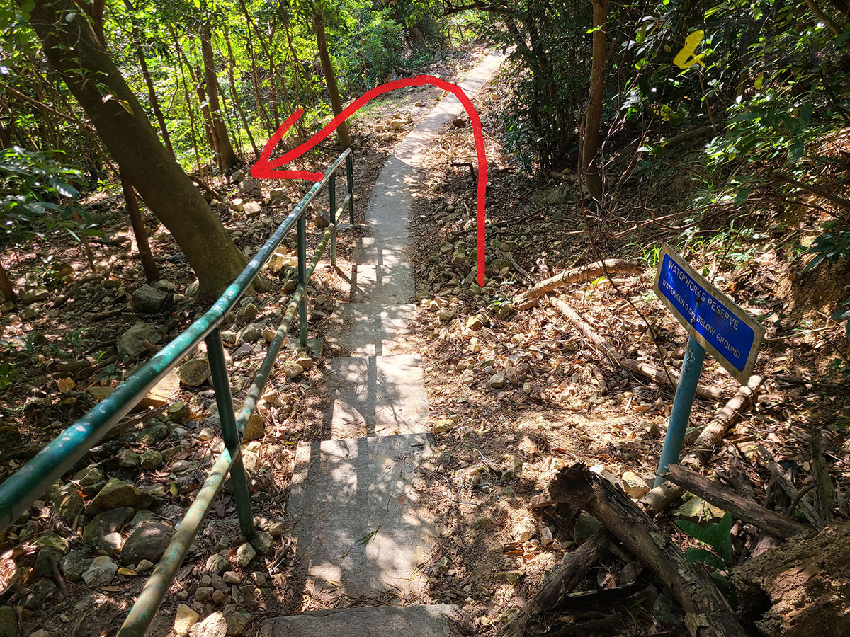 行山 打卡勝地 香港本地遊 登山 山友 粉嶺八角塔 赤柱古道 蝌蚪坪 舂磡角道 南區海濱長廊 赤柱古道 古老石拱橋