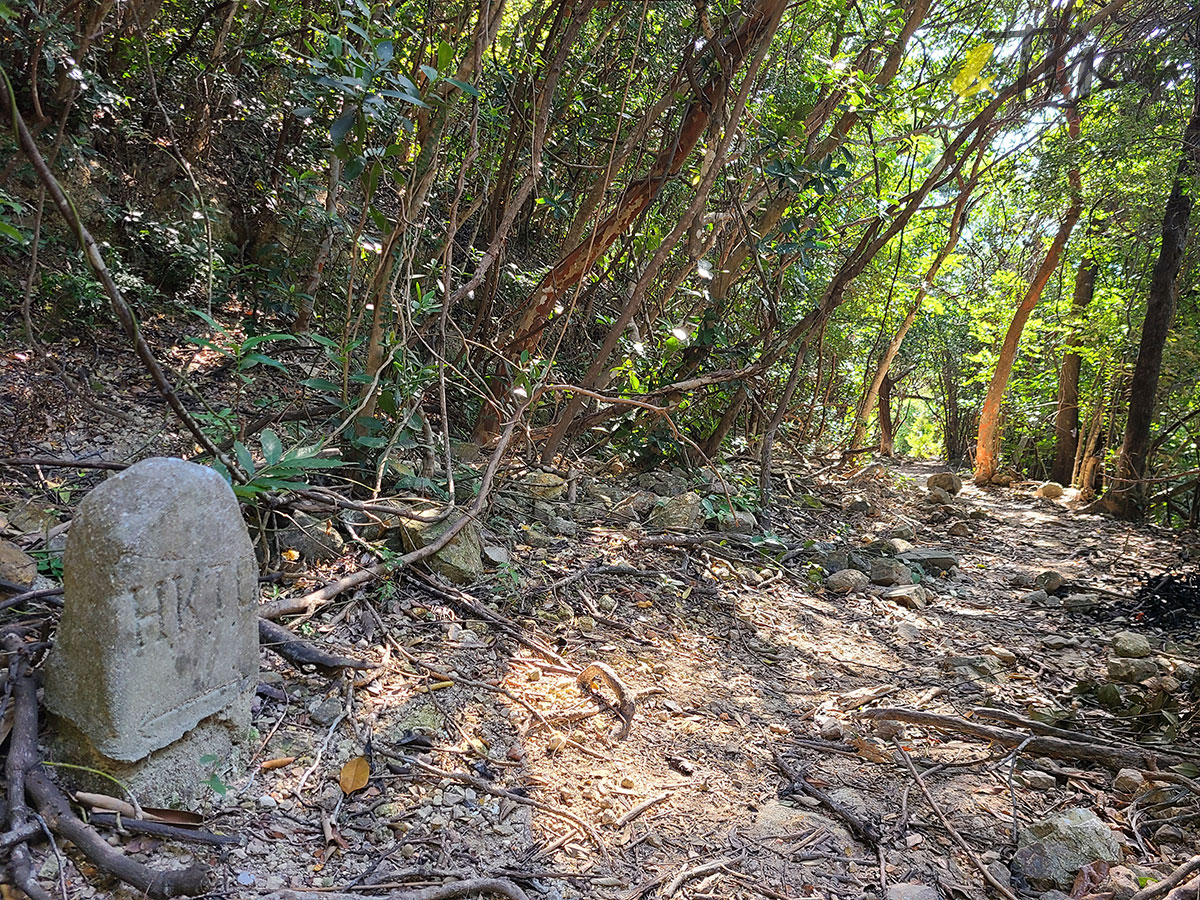 行山 打卡勝地 香港本地遊 登山 山友 粉嶺八角塔 赤柱古道 蝌蚪坪 舂磡角道 南區海濱長廊 赤柱古道 古老石拱橋 HKTC