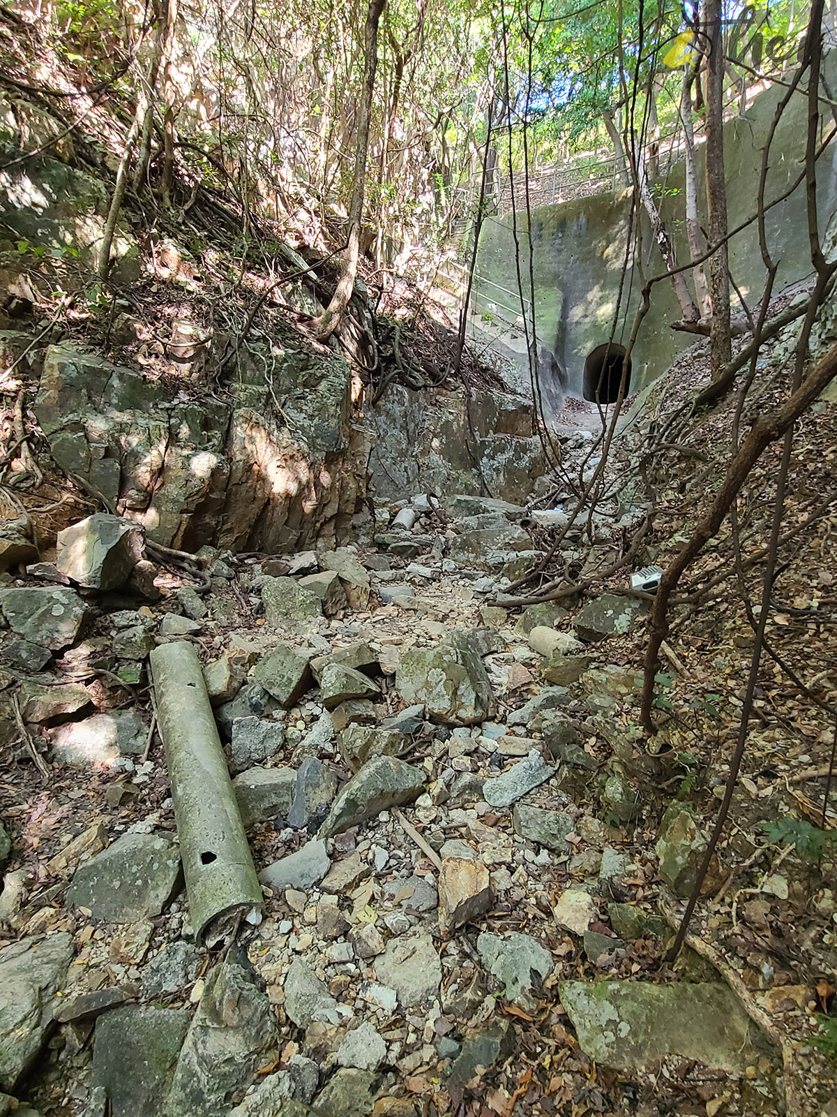 行山 打卡勝地 香港本地遊 登山 山友 粉嶺八角塔 赤柱古道 蝌蚪坪 舂磡角道 南區海濱長廊 赤柱古道 古老石拱橋 司馬文 排水坑