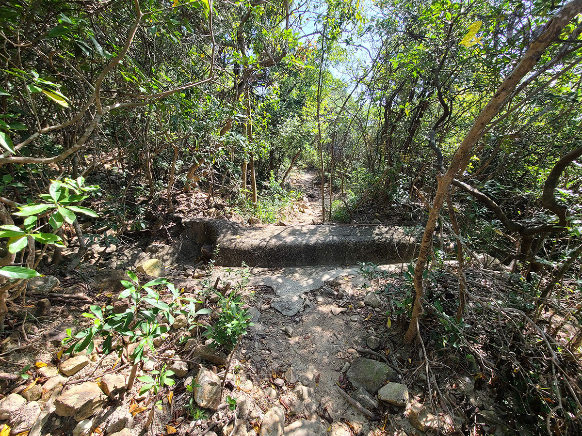 行山 打卡勝地 香港本地遊 登山 山友 粉嶺八角塔 赤柱古道 蝌蚪坪  舂磡角道 南區海濱長廊 赤柱古道 古老石拱橋 司馬文 排水坑 羅馬式橋拱