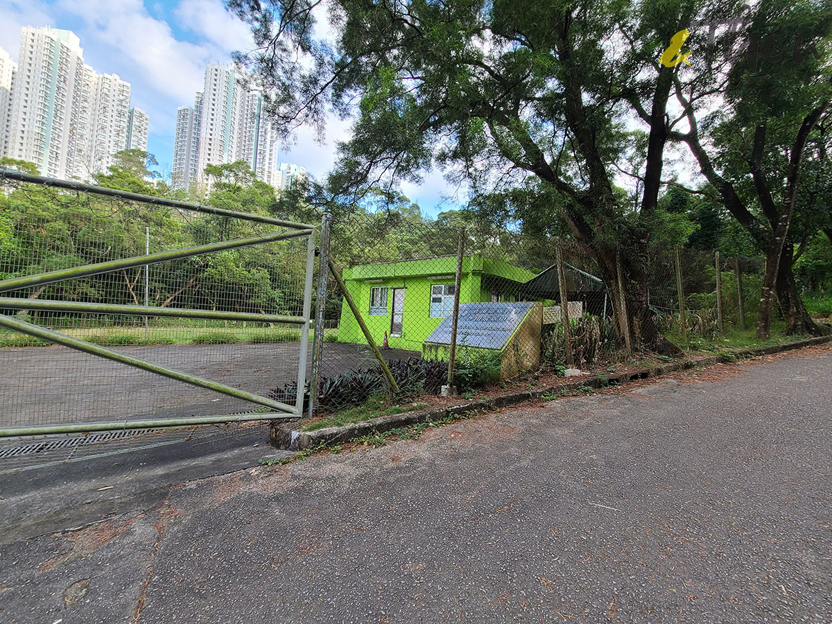 行山 打卡勝地 香港本地遊 登山 山友 粉嶺八角塔 赤柱古道 蝌蚪坪 小山崗 水泉澳 貓仔山 沙田童軍中心