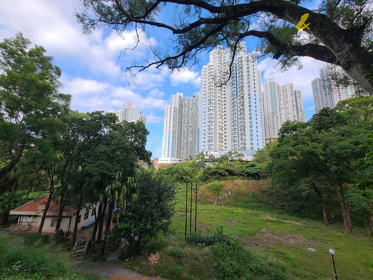 行山 打卡勝地 香港本地遊 登山 山友 粉嶺八角塔 赤柱古道 蝌蚪坪 小山崗 水泉澳 貓仔山 水泉澳邨