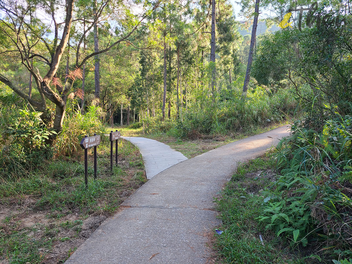 行山 打卡勝地 香港本地遊 登山 山友 粉嶺八角塔 赤柱古道 蝌蚪坪  小山崗 水泉澳 貓仔山 水泥山徑