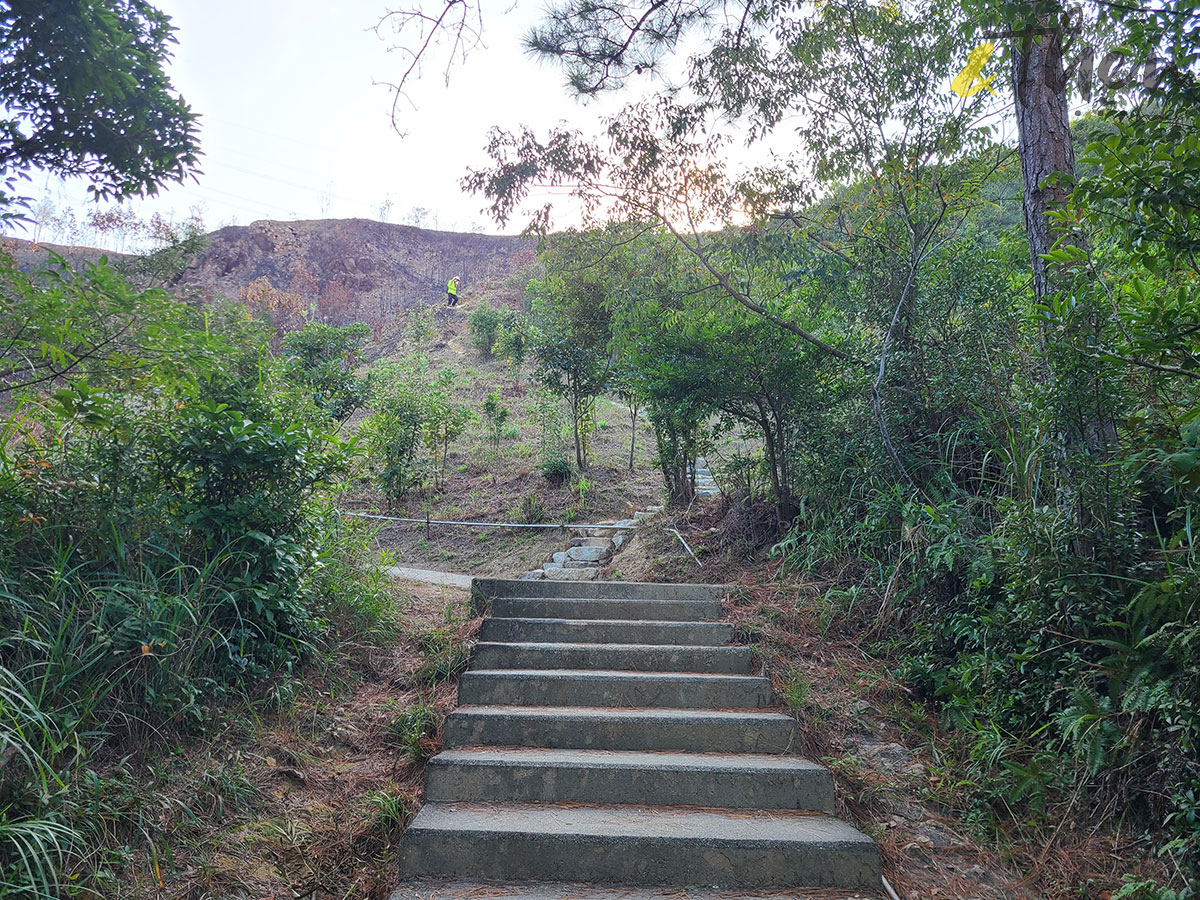 行山 打卡勝地 香港本地遊 登山 山友 粉嶺八角塔 赤柱古道 蝌蚪坪 小山崗 水泉澳 貓仔山 水泥山徑