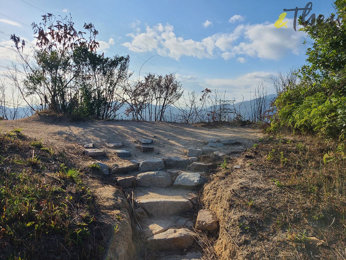 行山 打卡勝地 香港本地遊 登山 山友 粉嶺八角塔 赤柱古道 蝌蚪坪 貓仔山 蝌蚪 山景 大圍 大帽山 沙田市中心