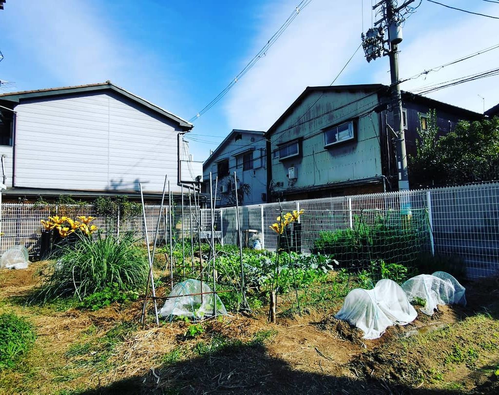 日本,日本好去處,大阪,大阪好去處,北加賀屋,社區活化,活化,藝術家,壁畫,日本壁畫,藝術村,千鳥文化,複合空間,展覽,咖啡廳,北加賀屋農園