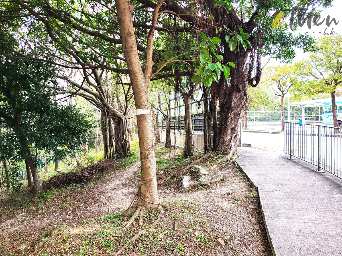 西貢好去處,將軍澳好去處,坑口好去處,鴨仔山,少女峰,邵氏片場,白水碗沙灘,瀑布,白水碗飛瀑,南圍,香港科技大學,橋咀