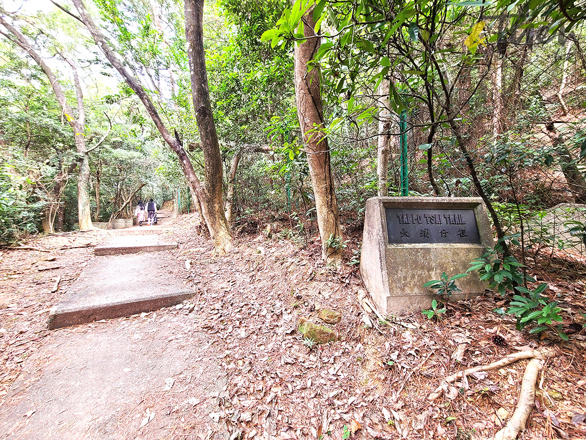 西貢好去處,將軍澳好去處,坑口好去處,鴨仔山,少女峰,邵氏片場,白水碗沙灘,瀑布,白水碗飛瀑,南圍,香港科技大學,橋咀,大埔仔徑