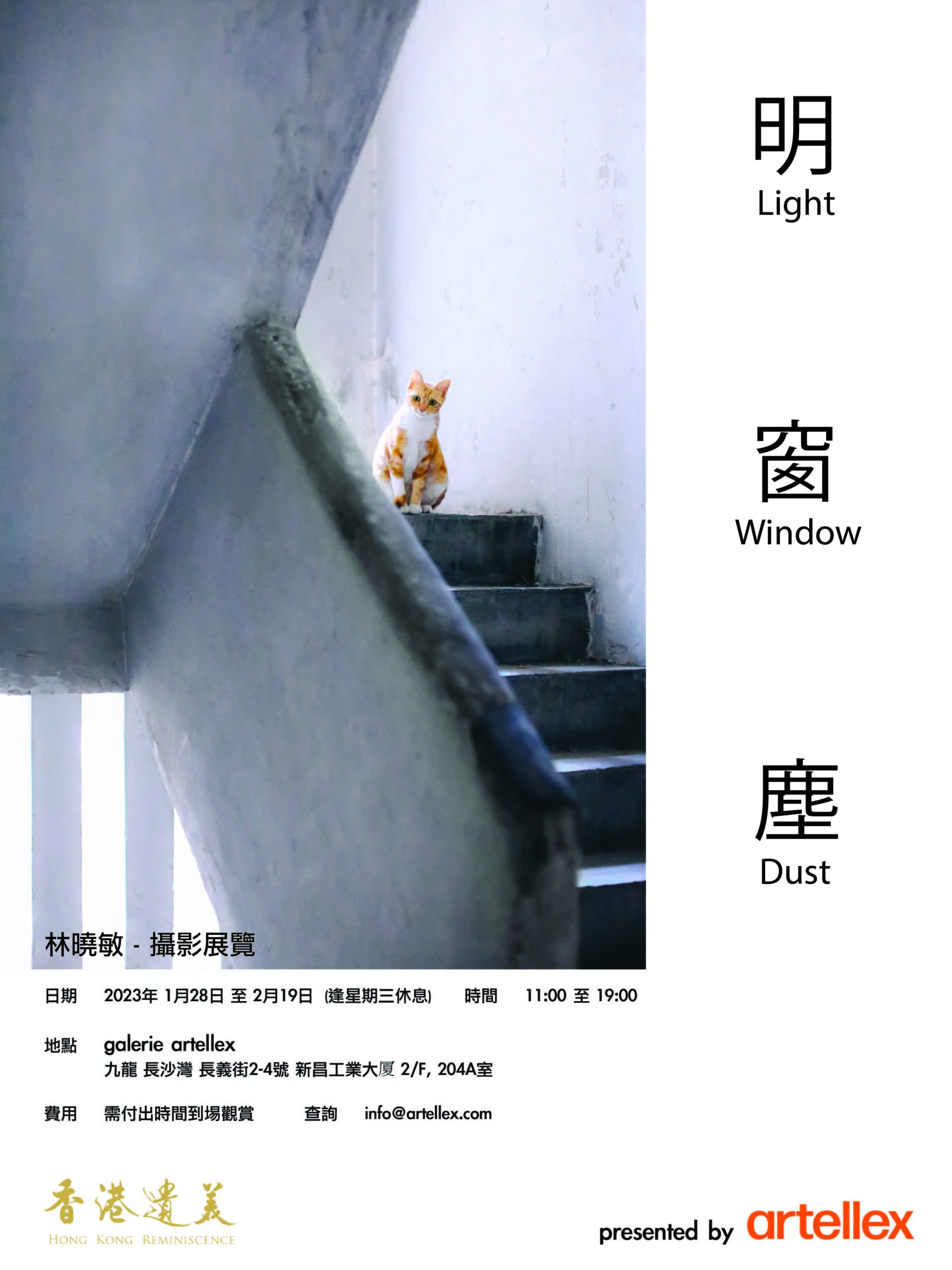 荔枝角好去處,荔枝角相展,展覽空間,藝術空間,香港遺美,林曉敏,香港真係好靚,廢墟,galerie artellex