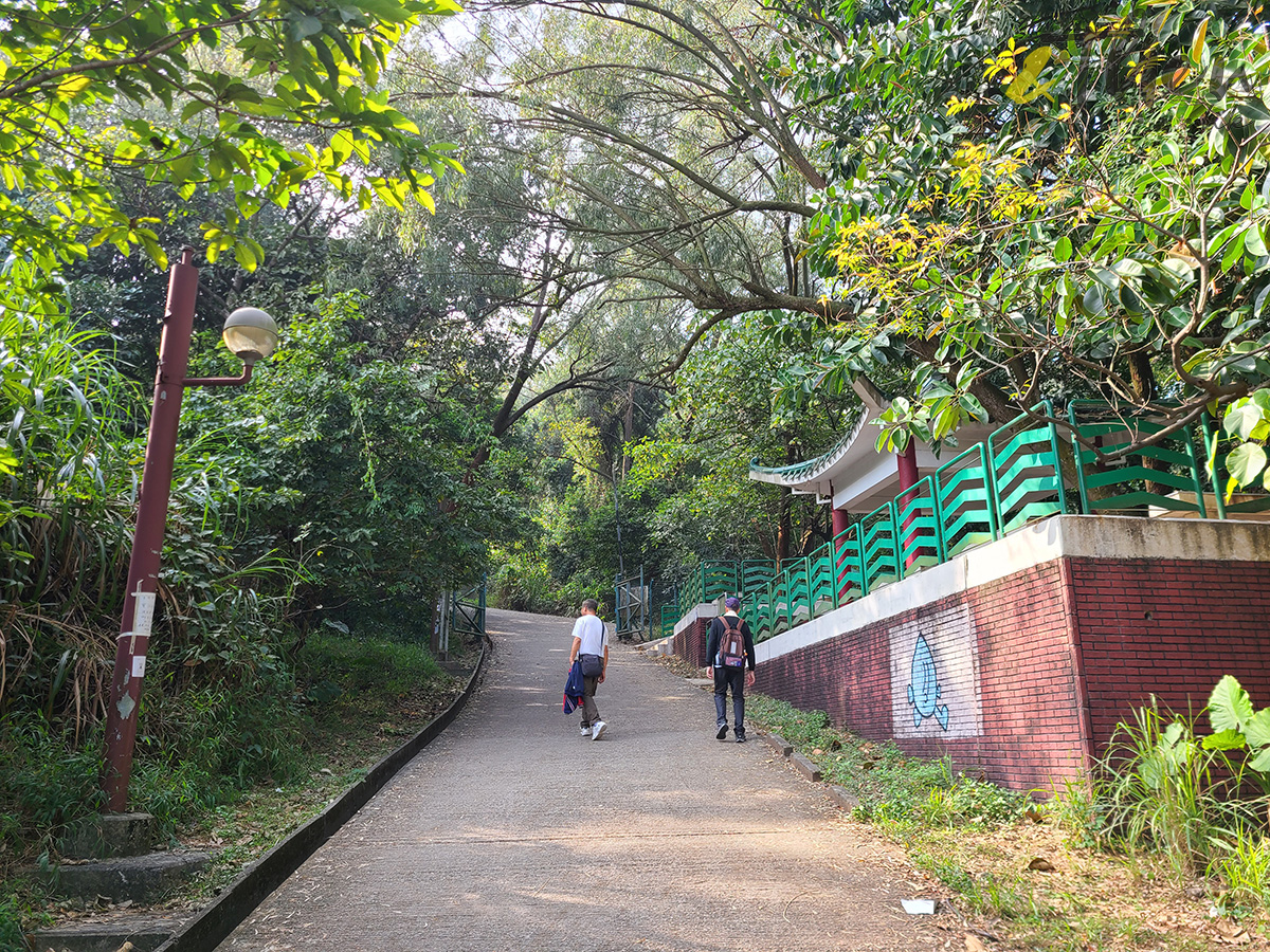 行山,屯門好去處,良景,下白泥,良田坳大峽谷,大峽谷,港版大峽谷,日落,夕陽,車米人