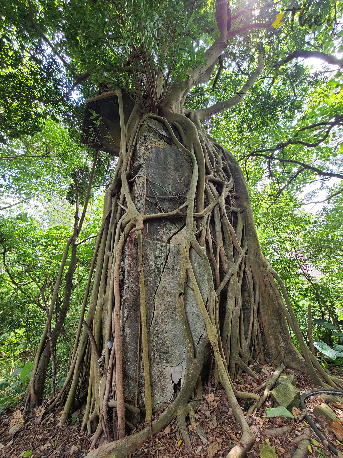 鑽石山,鑽石山好去處,鑽石山行山,牛池灣,牛池灣寮屋區,礦場遺蹟,石屎基,天空之城,港版吳哥窟