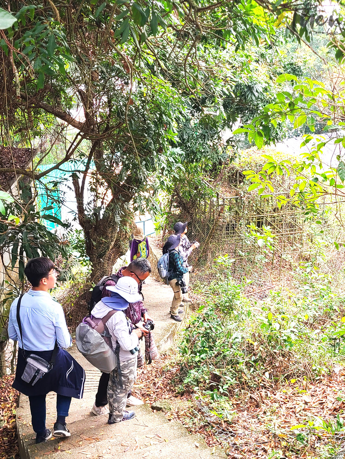 蒲台島,香港最南面,行山,露營,怪石,126,赤柱,佛手岩,巨龜石,響螺石,南氹灣