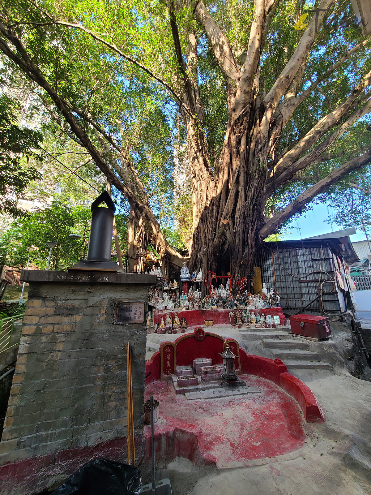 鑽石山,鑽石山好去處,鑽石山行山,牛池灣,牛池灣寮屋區,礦場遺蹟,石屎基,天空之城,港版吳哥窟