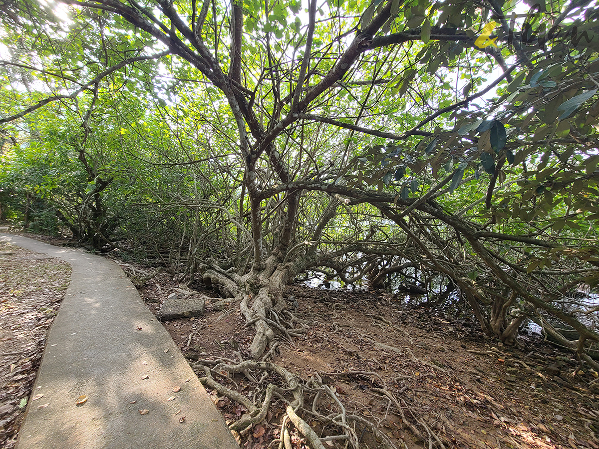 西貢,香港後花園,北潭凹,赤徑,土瓜坪,黃石碼頭