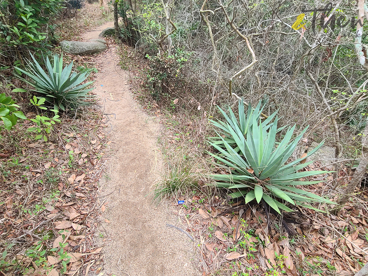 蒲台島,香港最南面,行山,露營,怪石,126,赤柱,佛手岩,巨龜石,響螺石,南氹灣