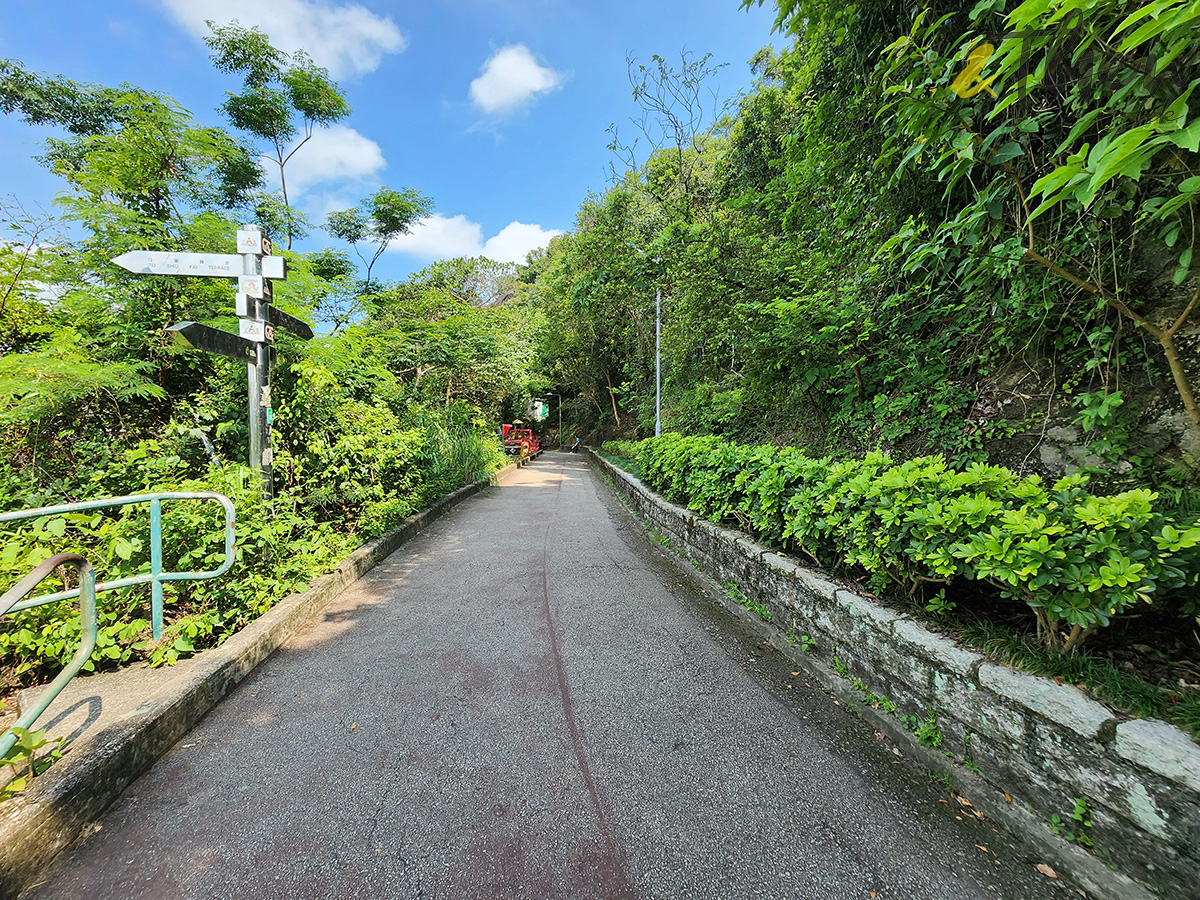 行山,寶雲道,金鐘好去處,灣仔好去處,舊英軍醫院,蘭谷,山泥傾瀉科技展學館,情人石,姻緣石