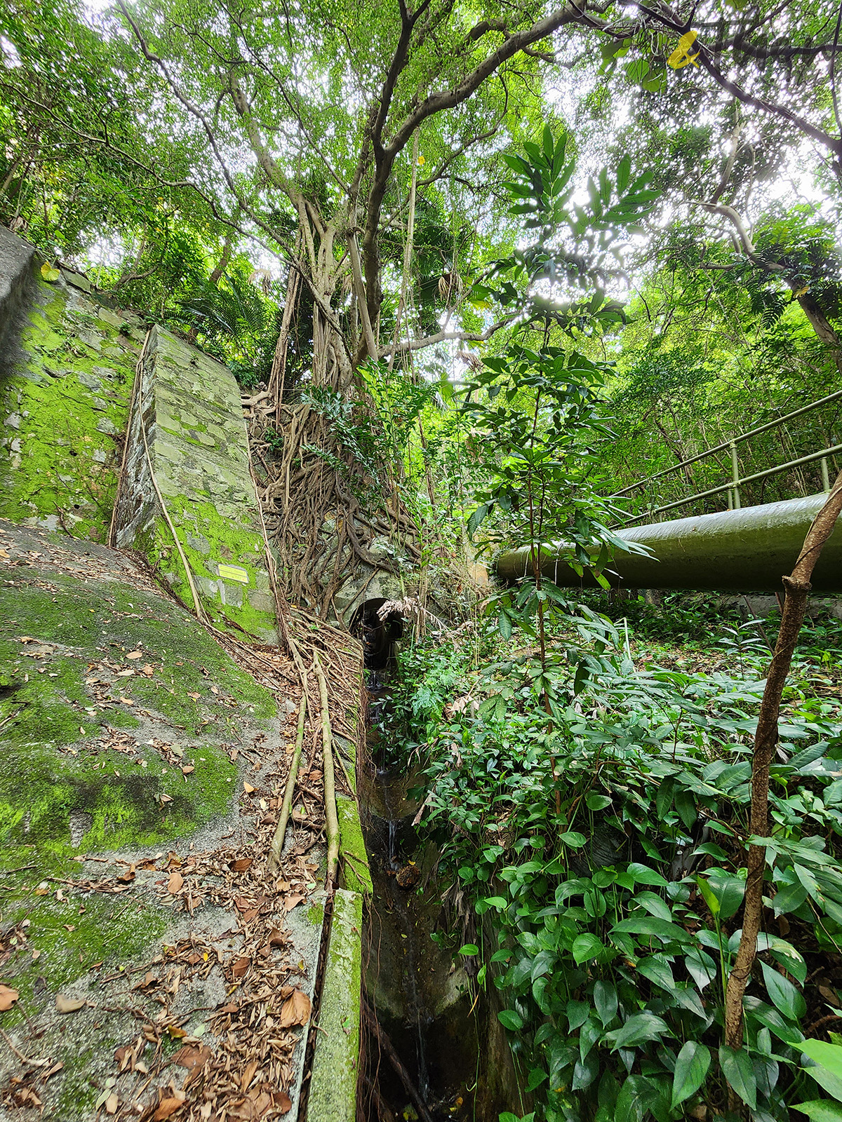 行山,寶雲道,金鐘好去處,灣仔好去處,舊英軍醫院,蘭谷,山泥傾瀉科技展學館,情人石,姻緣石