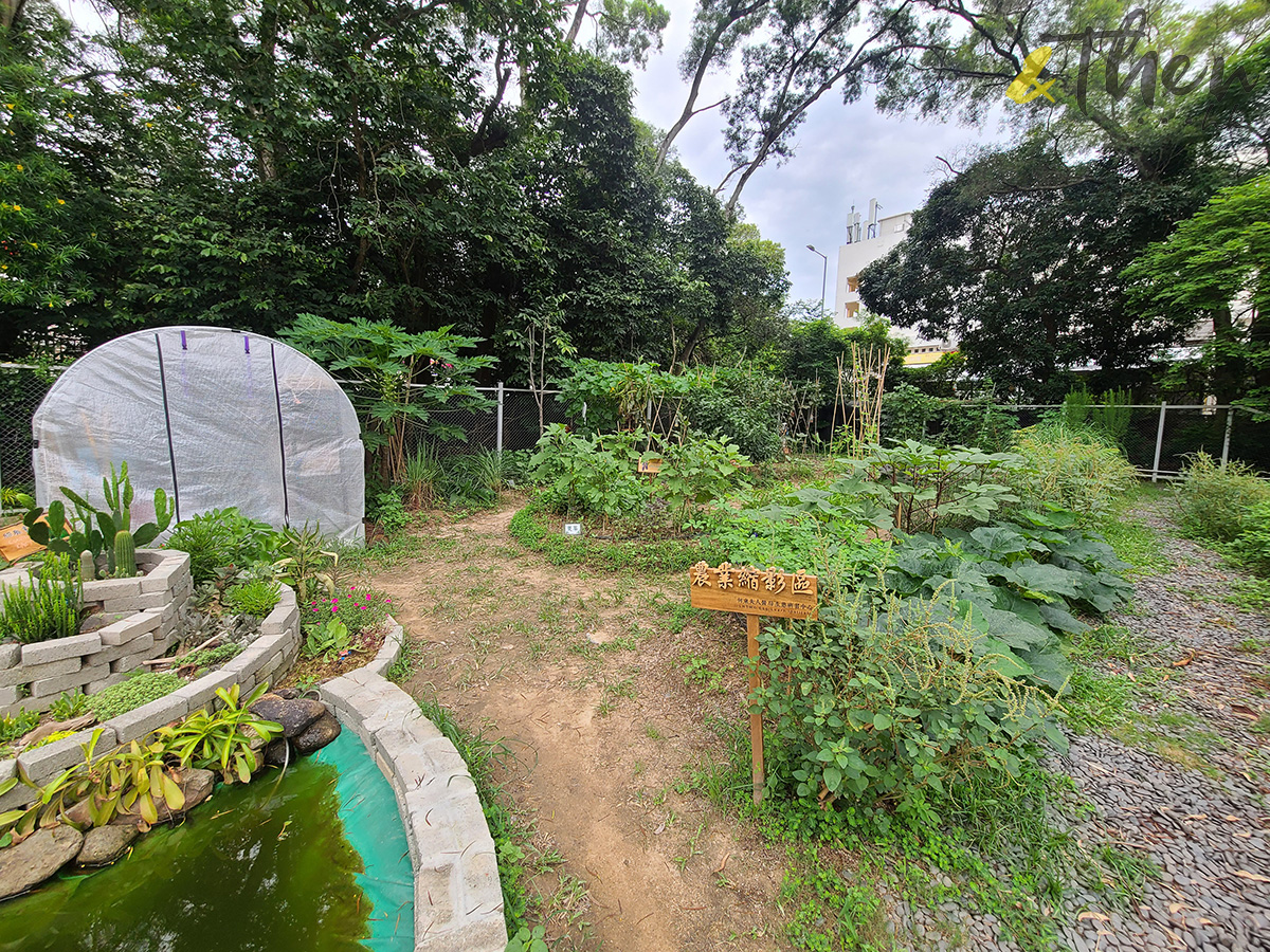 何東夫人醫局・生態研習中心,中電鐘樓文化館,大坑火龍文化館,大坑好去處,上水好去處,何文田好去處,活化,建築,出遊,散步