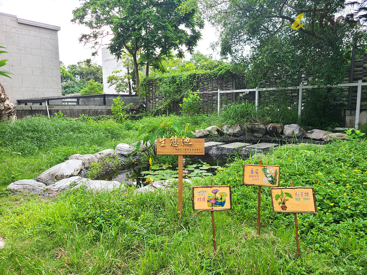 何東夫人醫局・生態研習中心,中電鐘樓文化館,大坑火龍文化館,大坑好去處,上水好去處,何文田好去處,活化,建築,出遊,散步