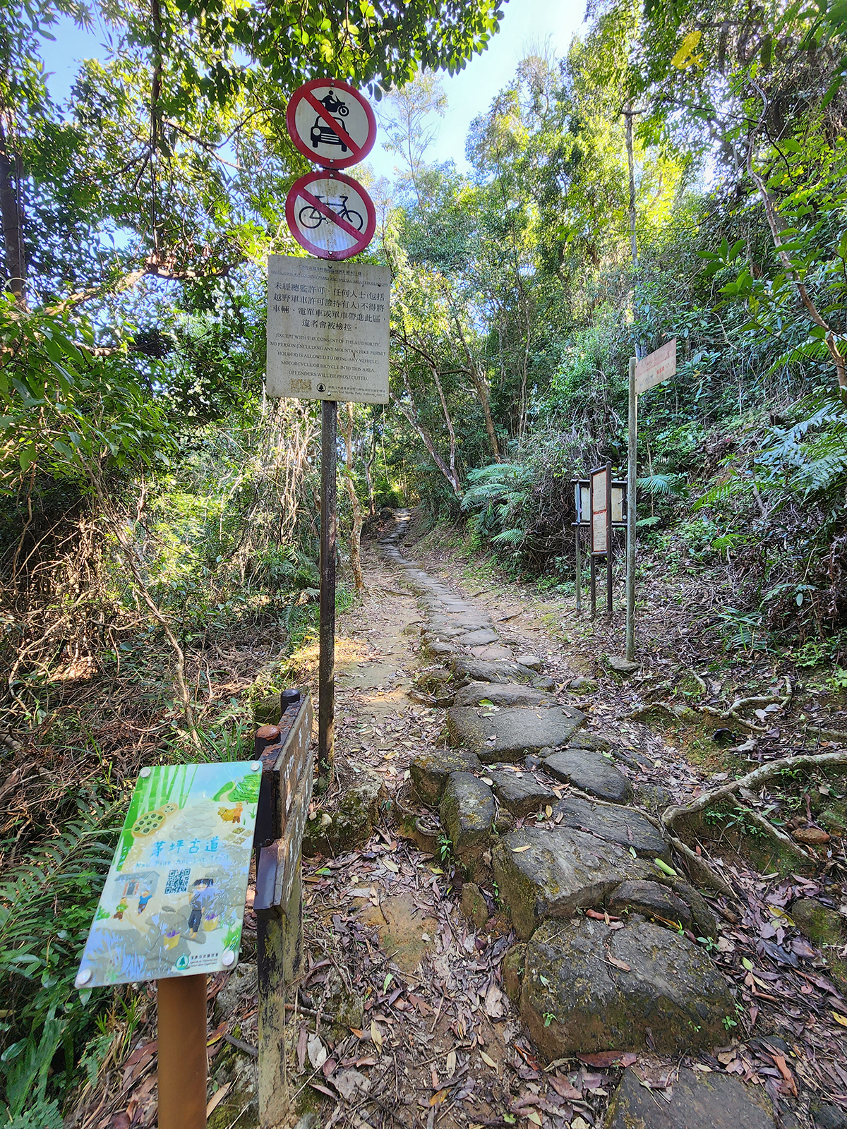 大水坑, 打卡, 梅子林路, 空心樹, 竹林, 茅坪, 茅坪古道, 茅坪新村, 茅坪藤, 藤王, 行山, 西貢墟, 週末好去處, 郊遊好去處, 香港行山