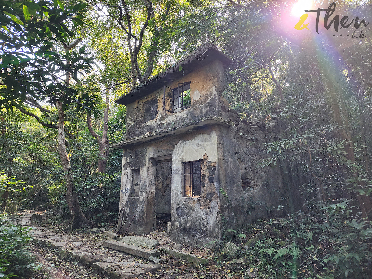 大水坑, 打卡, 梅子林路, 空心樹, 竹林, 茅坪, 茅坪古道, 茅坪新村, 茅坪藤, 藤王, 行山, 西貢墟, 週末好去處, 郊遊好去處, 香港行山