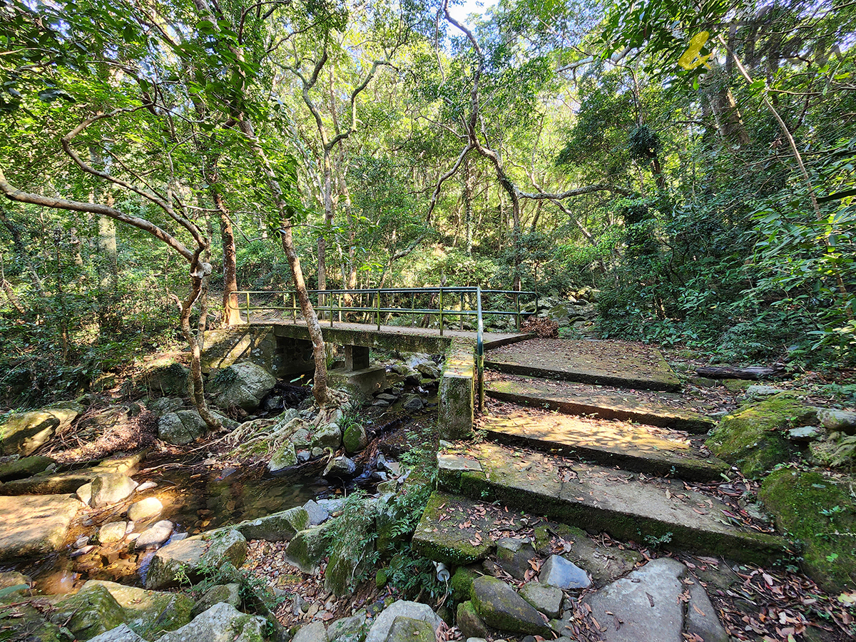 大水坑, 打卡, 梅子林路, 空心樹, 竹林, 茅坪, 茅坪古道, 茅坪新村, 茅坪藤, 藤王, 行山, 西貢墟, 週末好去處, 郊遊好去處, 香港行山