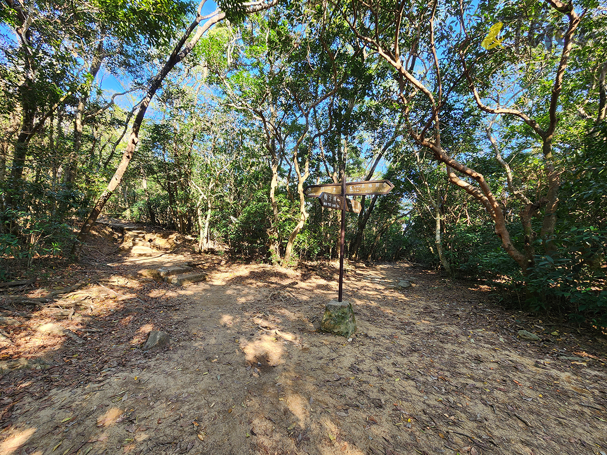 大水坑, 打卡, 梅子林路, 空心樹, 竹林, 茅坪, 茅坪古道, 茅坪新村, 茅坪藤, 藤王, 行山, 西貢墟, 週末好去處, 郊遊好去處, 香港行山