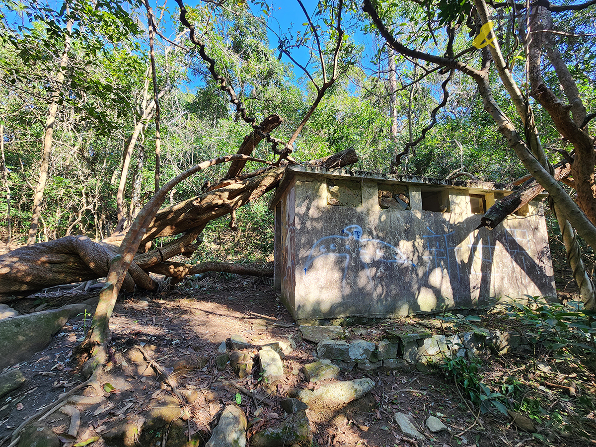 大水坑, 打卡, 梅子林路, 空心樹, 竹林, 茅坪, 茅坪古道, 茅坪新村, 茅坪藤, 藤王, 行山, 西貢墟, 週末好去處, 郊遊好去處, 香港行山