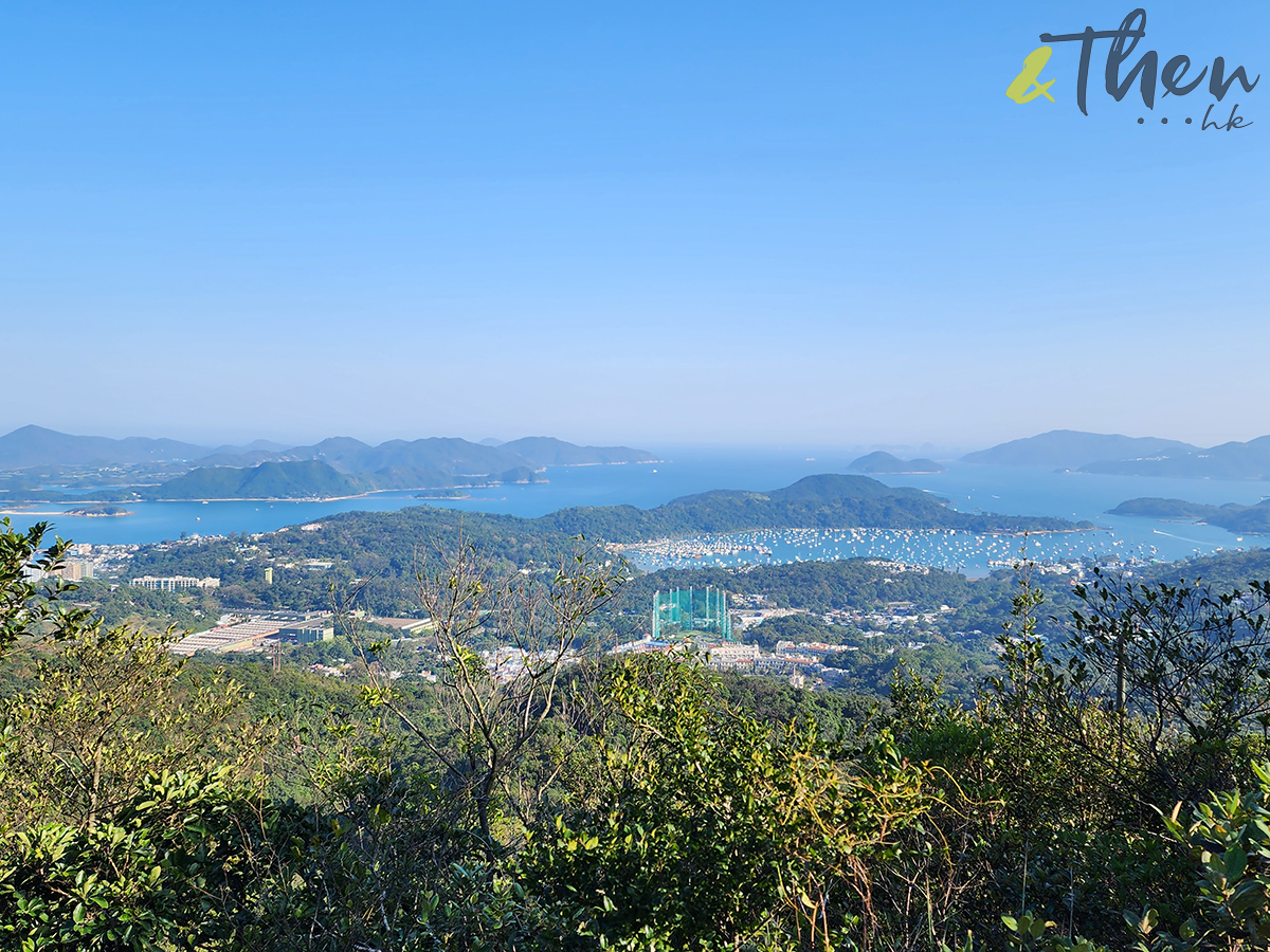 大水坑, 打卡, 梅子林路, 空心樹, 竹林, 茅坪, 茅坪古道, 茅坪新村, 茅坪藤, 藤王, 行山, 西貢墟, 週末好去處, 郊遊好去處, 香港行山