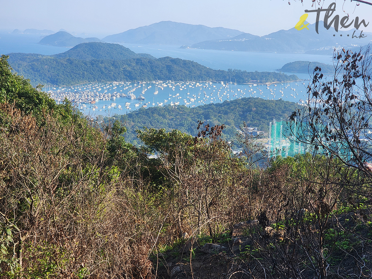 大水坑, 打卡, 梅子林路, 空心樹, 竹林, 茅坪, 茅坪古道, 茅坪新村, 茅坪藤, 藤王, 行山, 西貢墟, 週末好去處, 郊遊好去處, 香港行山