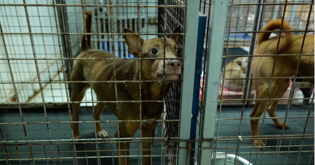 毛家AndThen.hk Feature Image