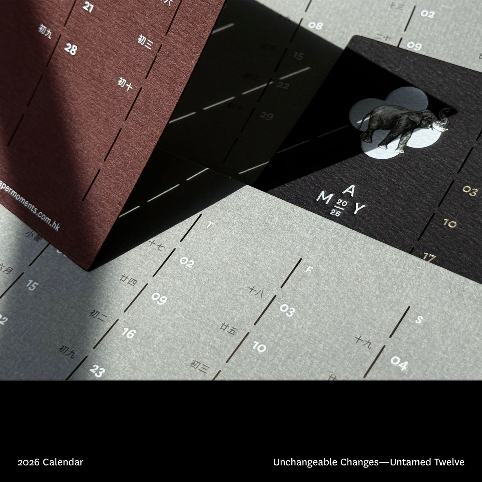 574042015_1243631451114502_3208881998743338718_n